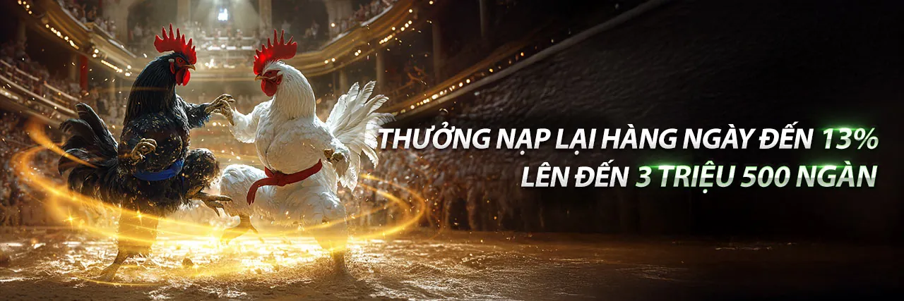 Trận đấu đá gà kịch tính tại 18win11 Win